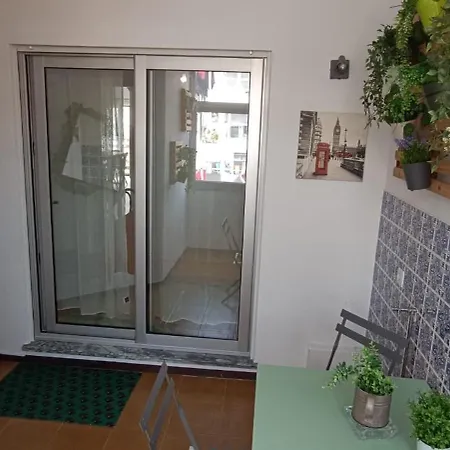 Fredjo Casa نازاريه